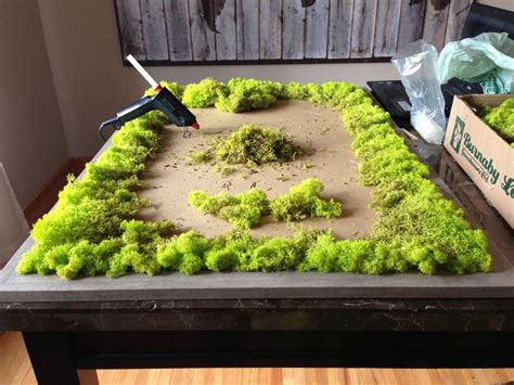 how to make moss art and why we should appreciate the beauty of nature