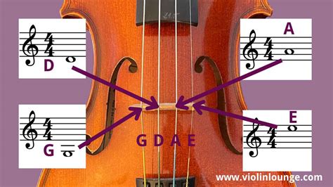 how to read violin sheet music: A journey through the symphony of notes